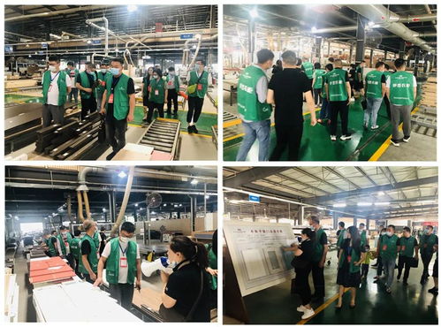 年中盛典，智造未來 619超級工廠購暨財(cái)富品鑒會圓滿落幕，揭秘購物商城定制新篇章