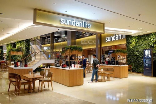 免費(fèi)門店，年入400萬 購物商城定制開發(fā)的創(chuàng)新商業(yè)模式啟示